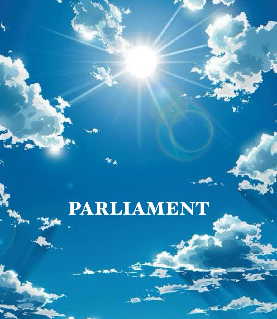 ソフト闇金パーラメントとは?_即日借入